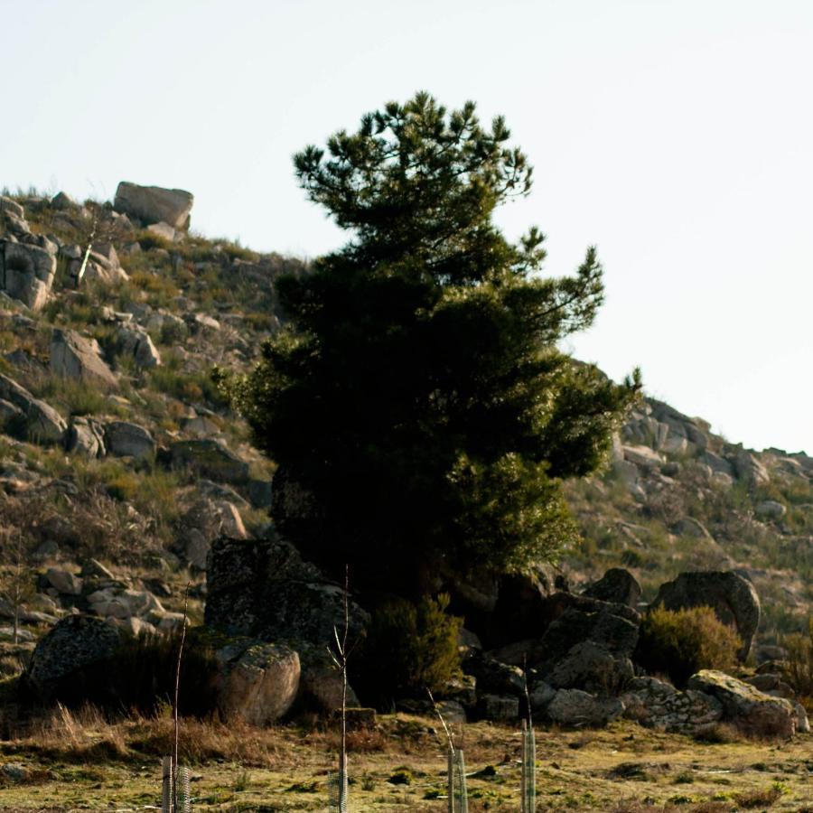 Villa Quinta Do Chaozinho Alijó Esterno foto
