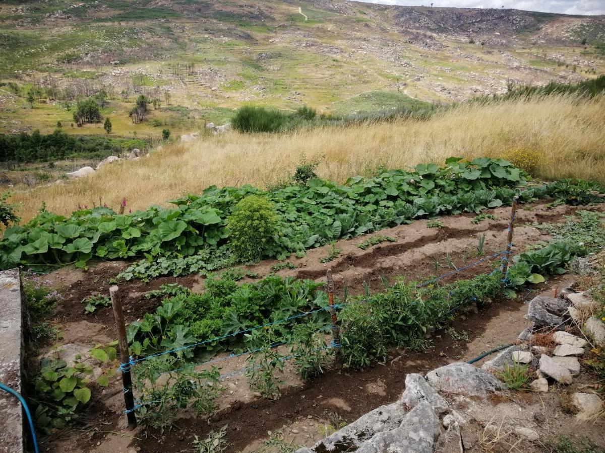 Villa Quinta Do Chaozinho Alijó Esterno foto